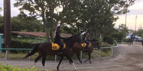 【七夕賞】サーブルオール 関東のエース格