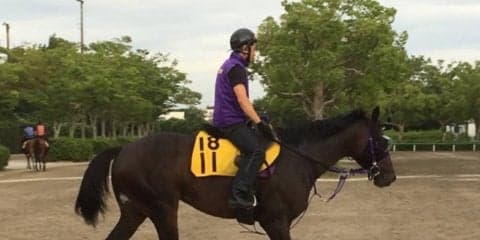 【七夕賞】マイネルサージュ ハンデ戦ならチャンス十分