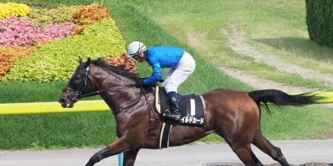 【福島10R/天の川賞】ダートの新星現る！？ワイルドカードが圧巻の逃げ切り！