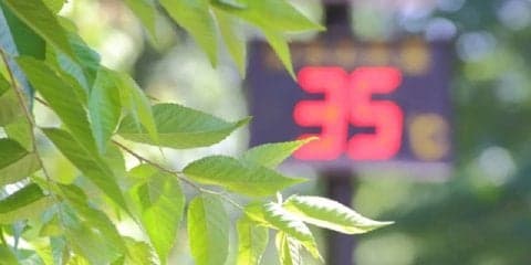 真夏日は要注意！熱中症対策