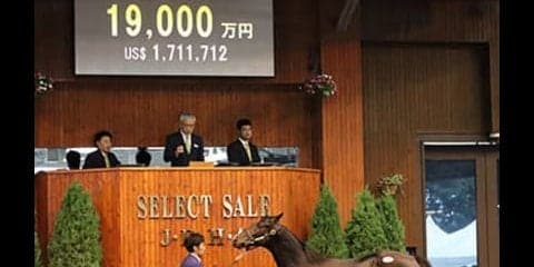 落札総額は過去最高も、今年のセレクトセールは高額馬戦線に異常あり！