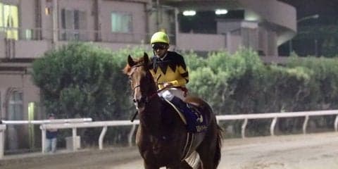 【JDダービー】武豊「脚が上がってしまった」2番人気ドンフォルティス6着敗退