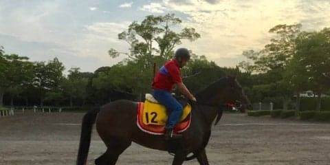 【バーデンバーデンC】アイライン 少頭数歓迎で終いの脚を生かす