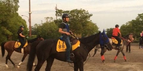 【バーデンバーデンC】ノットフォーマル軽量50キロで有利