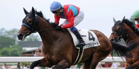 【函館5R/2歳新馬】ハーツクライ産駒 アフランシールがデビューV！