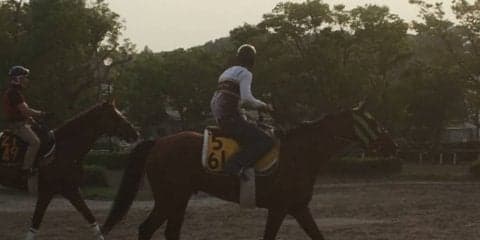 【中京記念】グレーターロンドン 暑さを凌ぎ初重賞制覇へ