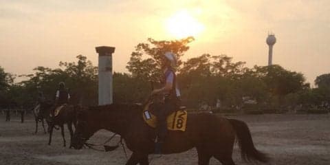 【福島テレビオープン】テオドール 小回り対応カギ