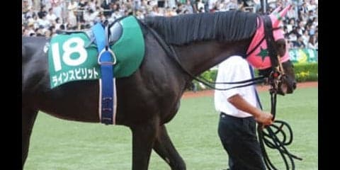 アイビスSDは舞台適性を重視。相性バッチリの３頭が主役の座を狙う