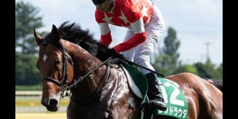 牝馬優勢もあえて牡馬。アイビスSDは格下レッドラウダが下克上する