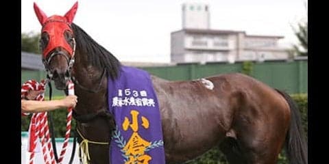 小倉記念は人気薄馬に希望あり。牡６歳が「重賞初制覇」で男をあげる