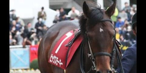 穴党記者が耳打ち。１番人気が強いレパードＳでも高配当狙える３頭