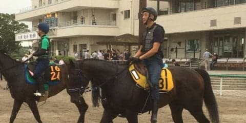 【アイビスSD】芝レース初参戦が千直