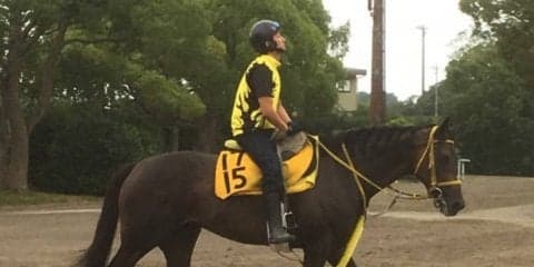 【アイビスSD】ペイシャフェリシタ 高木師「展開がハマってくれれば」