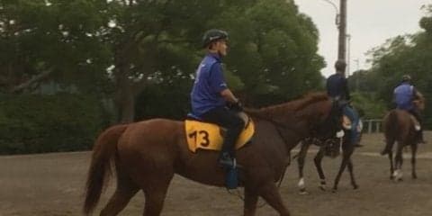 【アイビスSD】アペルトゥーラ 国枝師「この条件があっている」