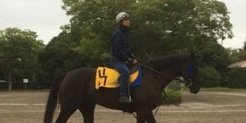 【アイビスSD】ダノンアイリス 久々の千直で変身期待