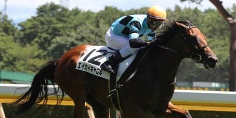 【新潟5R/2歳新馬】ロードカナロア産駒 エイカイキャロルが抜け出し快勝！