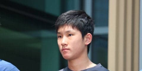 【卓球・Tリーグ】張本智和が参戦決定　豪華な「木下布陣」が完成間近