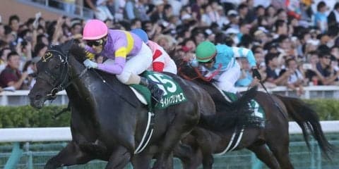 【新潟11R/アイビスSD】ダイメイプリンセス重賞初V！千直3戦3勝の無傷