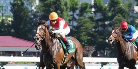 【札幌11R/クイーンS】ディアドラが完勝！直線後続各馬を置き去り
