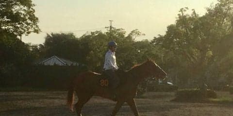 【レパードS】イダペガサス 左回りで反撃狙う