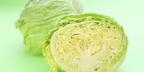 毎食前にキャベツを食べるだけ！お財布にも優しいダイエット法