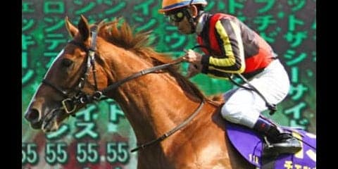 関屋記念で、帰省先への手土産をゴージャスにしちゃう４頭を見っけ