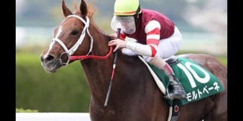 情報通だから抽出できる３頭。エルムＳも好調・穴党記者におまかせ！