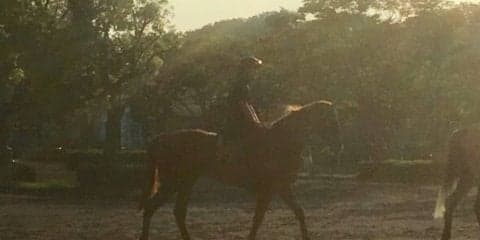 【注目新馬】ユナカイト アーモンドアイ半妹がデビュー