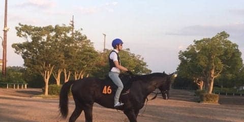 【レパードS】アルクトス 連勝中の関東エース格