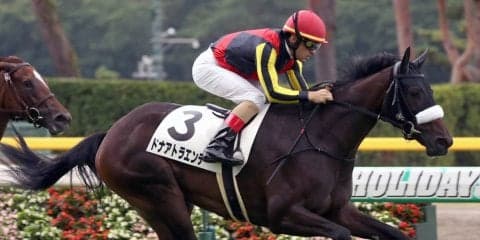 【新潟5R/2歳新馬】ジェンティルドンナ妹、ドナアトラエンテが新馬勝ち！