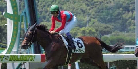 【小倉6R/2歳新馬】武豊ディーブラッドが鋭い末脚で差し切りV！