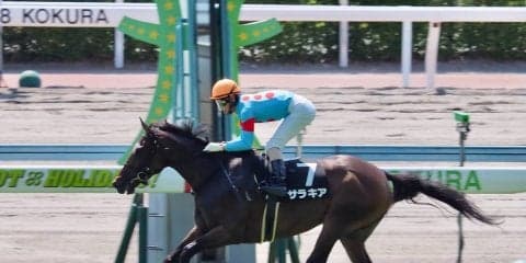 【小倉9R/青島特別】圧倒的人気サラキアがレコードV！初の古馬対戦も物ともせず