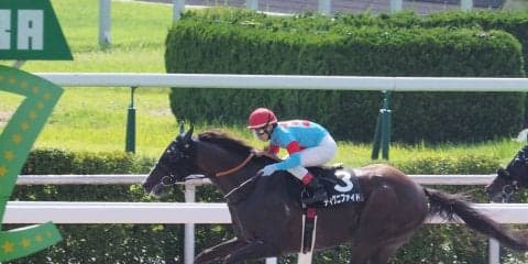 【小倉10R/天草特別】ディグニファイドが4角先頭から押し切る