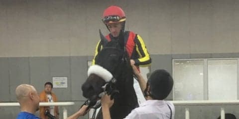 日曜新潟５Ｒ新馬はジェンティルドンナの全妹ドナアトラエンテが制す