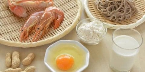 しっかり知ろう！食物アレルギーのメカニズム
