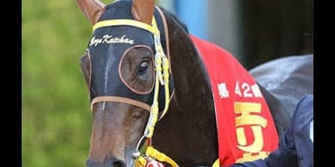 マカヒキもマサカと驚く可能性。札幌記念は4歳の牡牝２頭に勝算あり