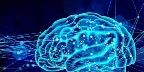 スポーツに活用され始めているICT。イチローの体験から紐解く効果