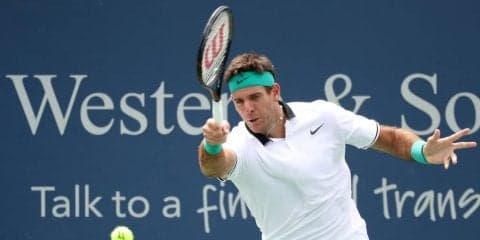 世界3位デル ポトロ、準々決勝で敗れる。勝利したゴファンは準決勝でフェデラーと対戦[ATP1000 シンシナティ]