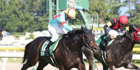 【新潟11R/関屋記念】最軽量プリモシーンが豪快に差し切りV！