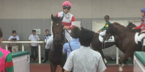 日曜新潟６Ｒ新馬はダノンジャスティスが圧巻Ｖ