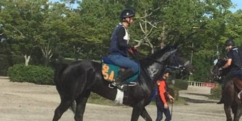 【注目新馬】ブラックタイド産駒プロスペリティ 