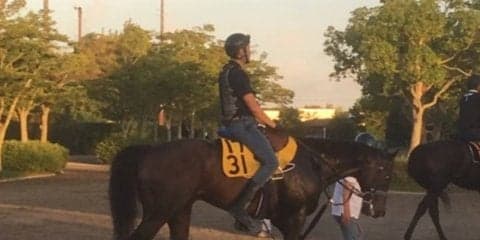 【NST賞】ベストマッチョ 実績のあるダートで巻き返し