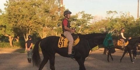 【NST賞】ドリームドルチェ 得意の新潟で期待高まる