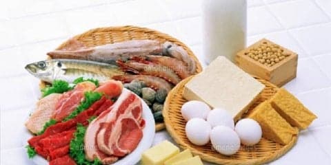 なぜボディメイクにタンパク質が重要なのか？