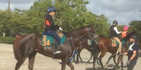 【新潟２歳Ｓ】アンブロークン 手塚師「良い動き」