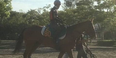 【新潟２歳Ｓ】ジョディー牡馬相手でもヒケとらない