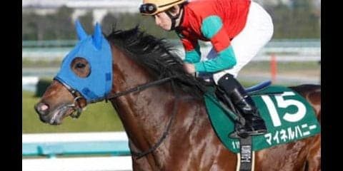 新潟記念は、荒れ馬場得意の「穴馬」に勝利の女神が優しく味方する