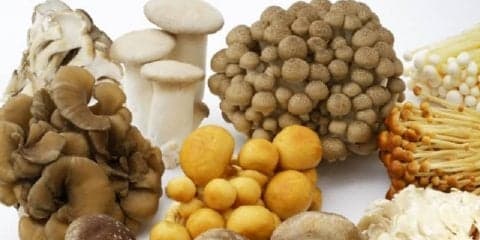 食物繊維が豊富で低カロリー！ダイエット中の食事はきのこを積極的に