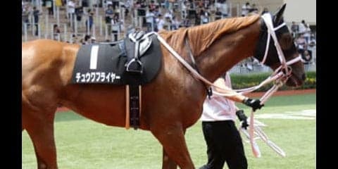 実力比較が難しい小倉２歳Ｓは、おませな「牝馬３頭」におまかせ！