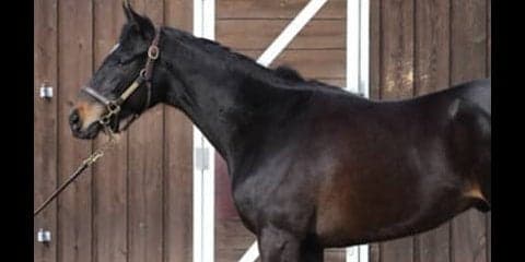 確かな実力を秘めたリスト。不運に泣かされた兄たちの無念を晴らすか